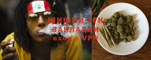стафф Арсеньев