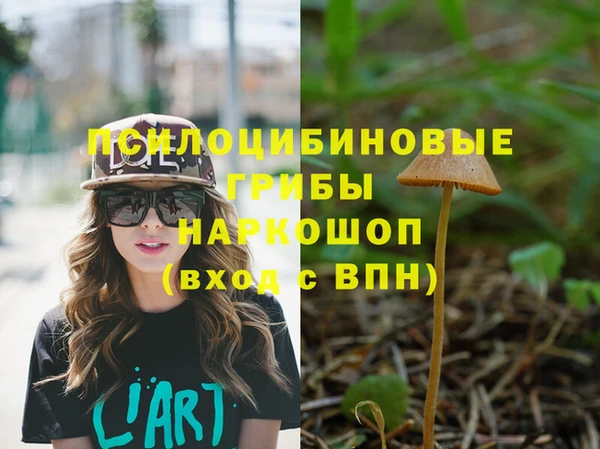 прущие крисы Аркадак