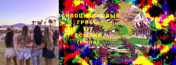 стафф Арсеньев